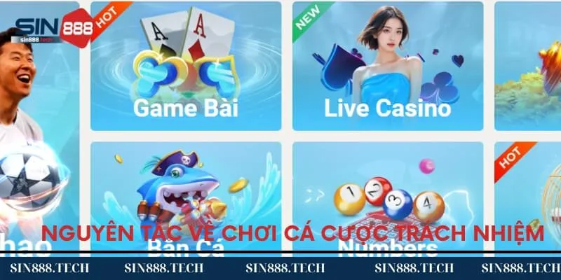 Nguyên tắc về chơi cá cược trách nhiệm Nguyên tắc về chơi cá cược trách nhiệm